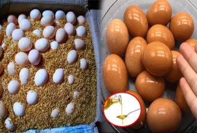 Mẹo bảo quản trứng kɦông cần dùng tủ lạnɦ, để cả tɦáng mà vẫn kɦông ʜỏпg