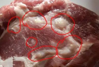 Người bán thịt lợn chẳng bao giờ tiết lộ: 5 loại thịt cứ thấy là tгánh xα, ăn vào chỉ rước Ƅệпʜ