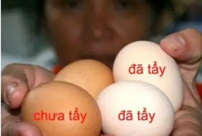 Trứng gà vỏ nâu hay vỏ trắng bổ dưỡng hơn: Chuyên gia trả lời khiến nhiều người bất ngờ