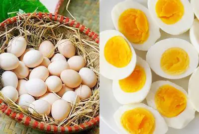 Ăn trứng gà nhớ tránh 4 thời điểm ‘độc’, muốn phòng bệnh và giảm cân thì hãy chọn ‘giờ vàng’