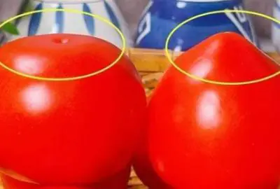 Nó cũng là một quả cà chua, sự khác biệt giữa rốn ‘nhọn’ và ‘tròn’ thực sự rất lớn! Bạn sẽ không mua nhầm nữa sau khi bạn biết